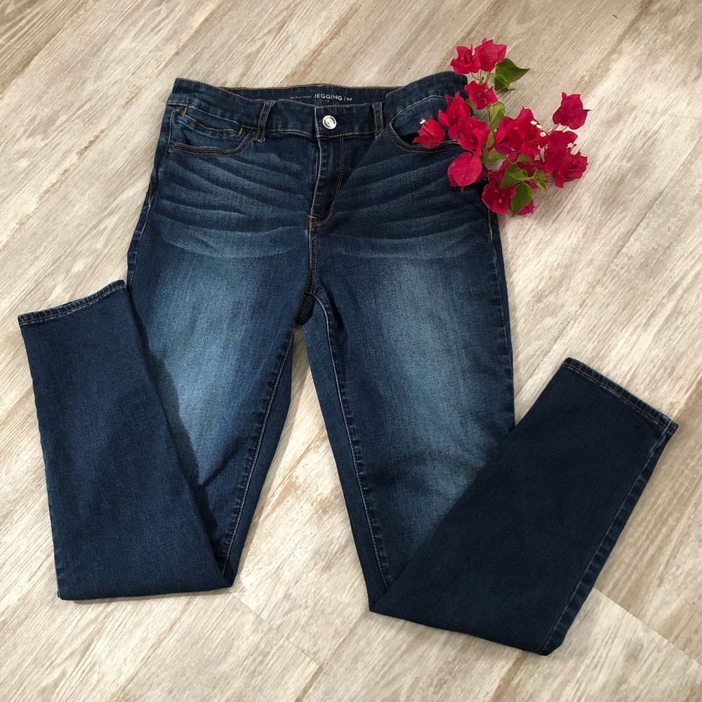The Platinum Jeggins Regular Fit Denim by Chico’s